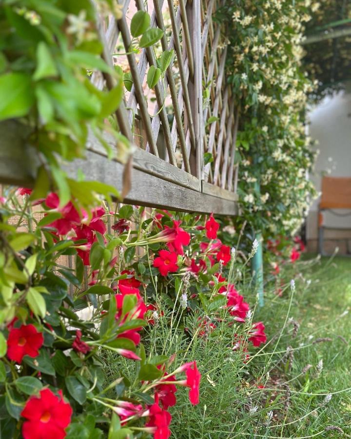 Holiday home Kuca Aurora Rovinj